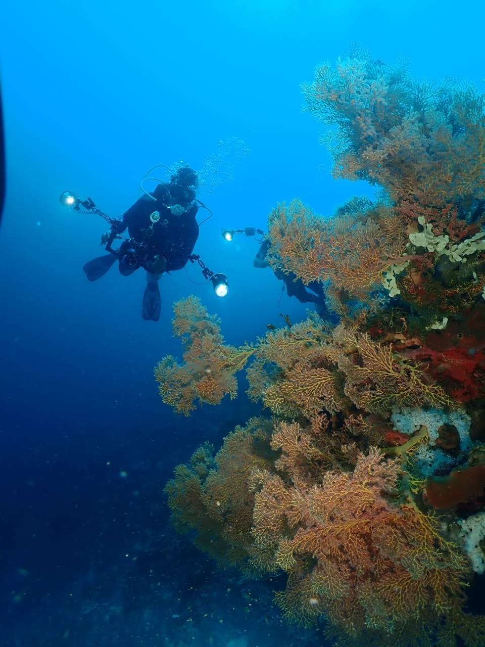 Kondisi bawah laut Perairan Kapitu (dok: Istimewa)