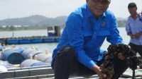 ekosistem-budi-daya-lobster-di-batam-mulai-tunjukkan-progres-signifikan