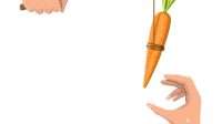 carrot-on-a-stick-in-hand-motivation-stimulus-incentive-and-reaching-goal-concept-metaphor-fishing-wooden-stick-with-hanging-carrot-WK3G8R