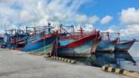 kkp-bekukan-izin-11-kapal-terduga-transhipment-di-arafura-mqMp