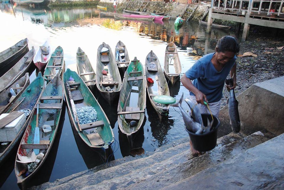 A woman in Wakatobi with her demershal fishes. Women’s groups are essential in social capital theory because they are among the most effective generators and sustainers of trust, norms of reciprocity, and dense social networks at the community level. Through savings groups, mutual aid associations, caregiving networks, religious gatherings, and informal cooperation, women often create strong bonding social capital that supports household resilience and collective survival, especially in contexts of poverty or crisis. (image by Pelakita.ID)