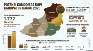 Potensi_Komoditas_Kopi_Barru_2025