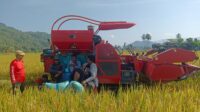 fa121327-7cef-479a-a3b1-ff73d491f71c
