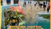 Restorasi Lamun, Langkah Nyata Meningkatkan Penyimpanan Karbon dan Menjaga Laut Kalimantan Timur
